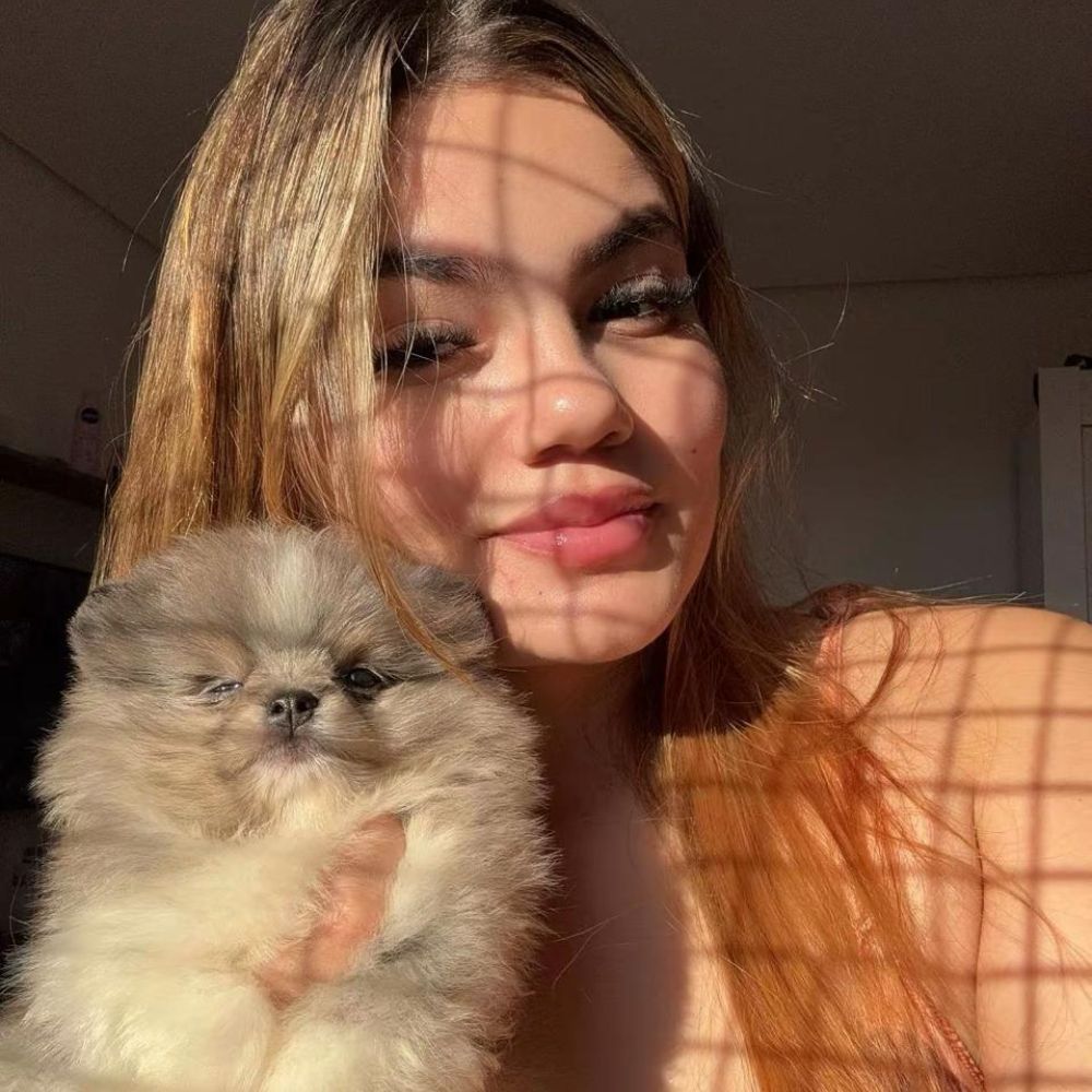 Lulu da Pomerânia 15