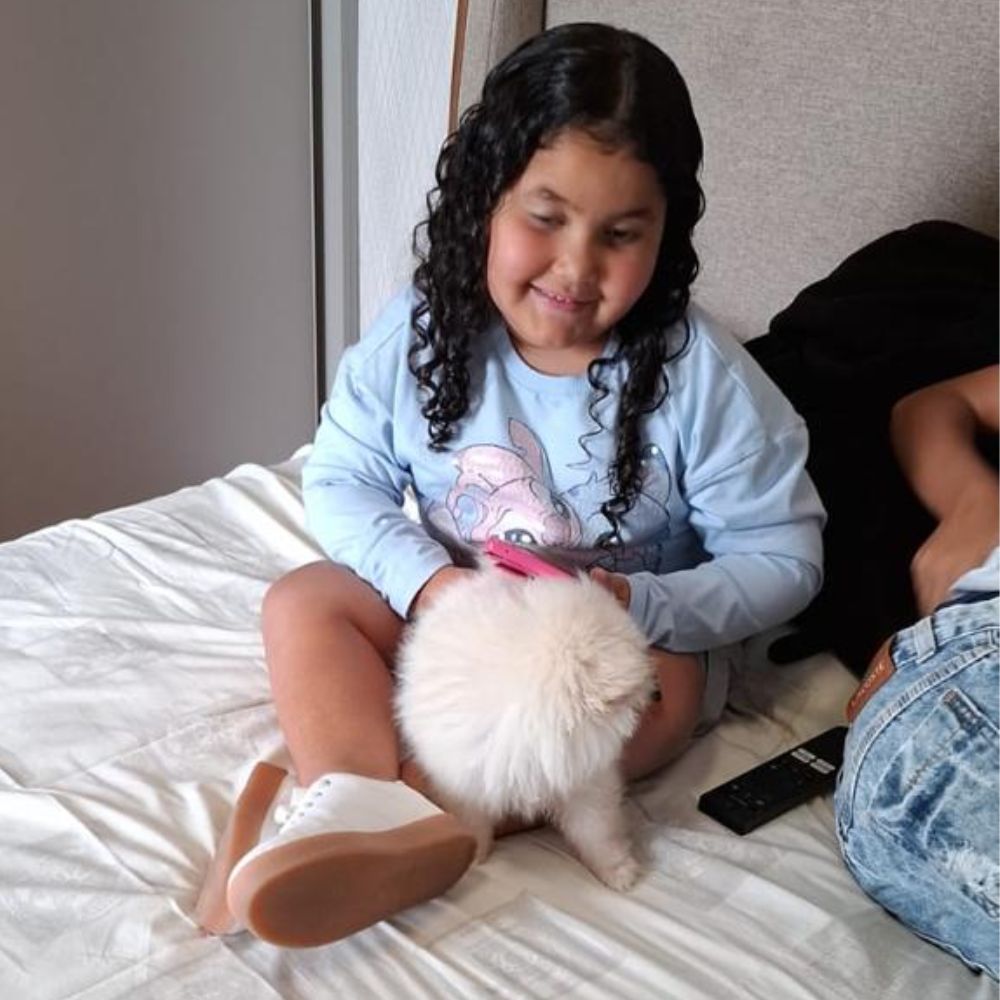 Lulu da Pomerânia 17