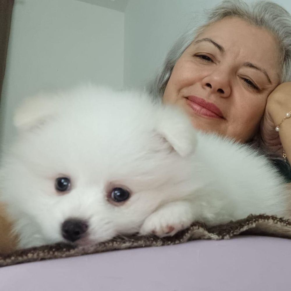 Lulu da Pomerânia 22