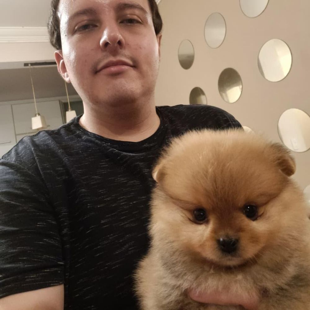 Lulu da Pomerânia 20