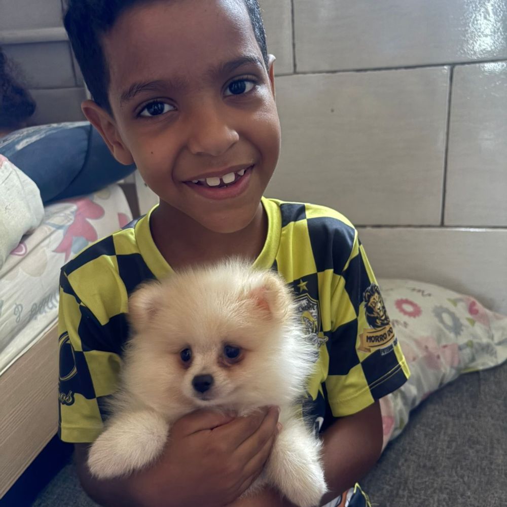 Lulu da Pomerânia 02