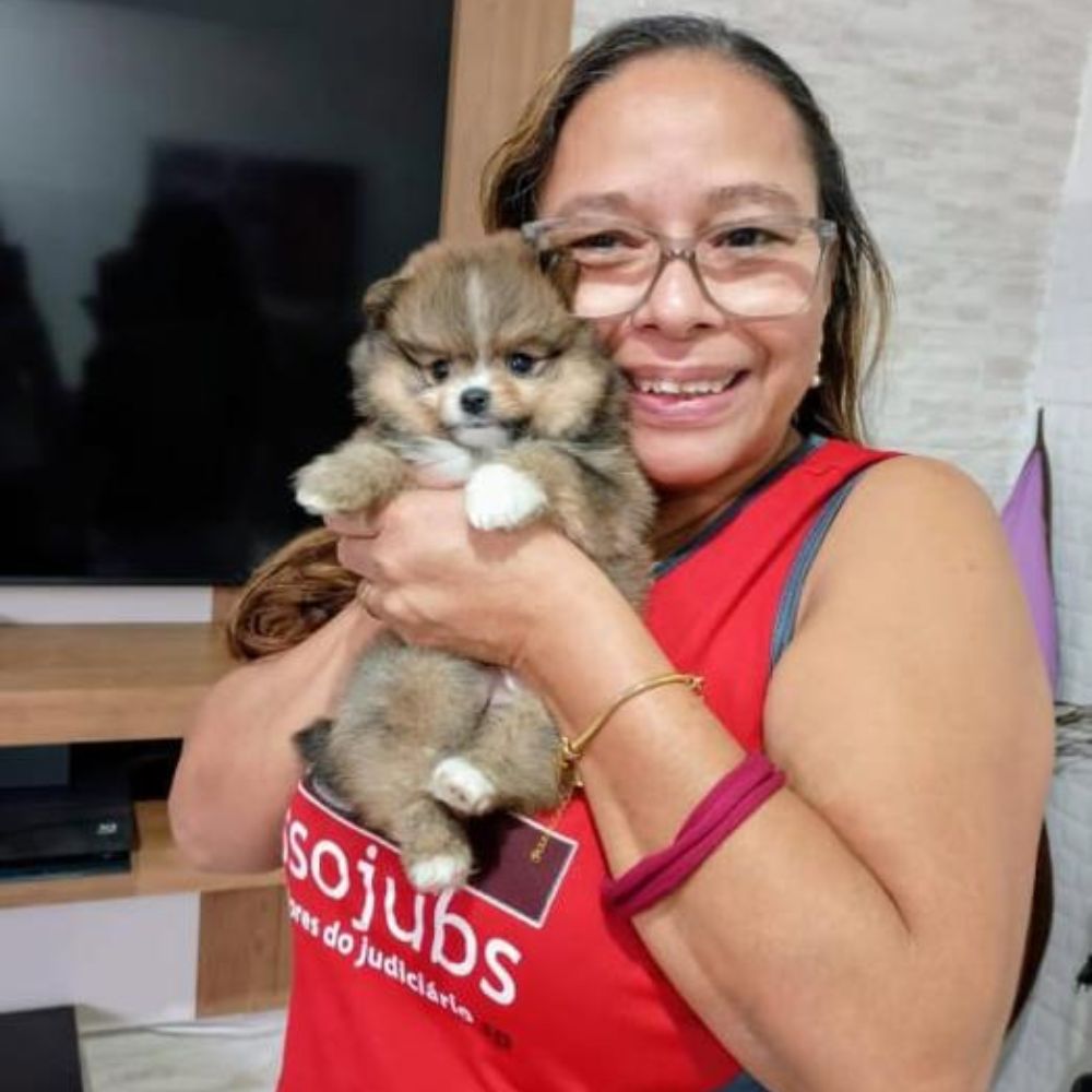 Lulu da Pomerânia 12
